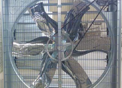 點(diǎn)擊查看詳細(xì)信息<br>標(biāo)題：Push Pull Type Animal Husbandry Fan 閱讀次數(shù)：2151