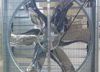 點擊查看詳細(xì)信息<br>標(biāo)題：Push Pull Negative Pressure Fan 閱讀次數(shù)：1376